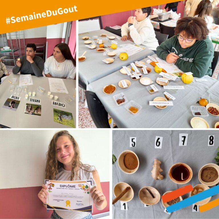 Description visuelle de l'image