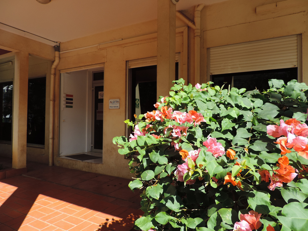 Description visuelle de l'image