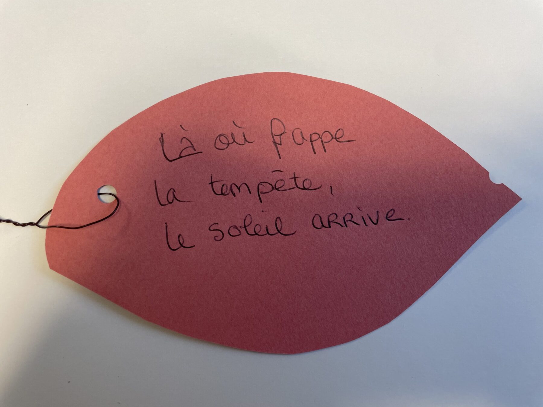 Description visuelle de l'image