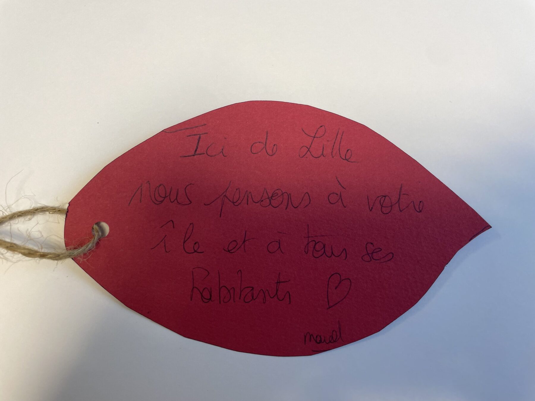 Description visuelle de l'image