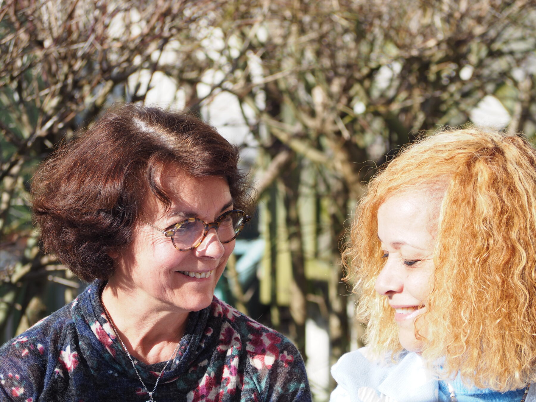 Description visuelle de l'image