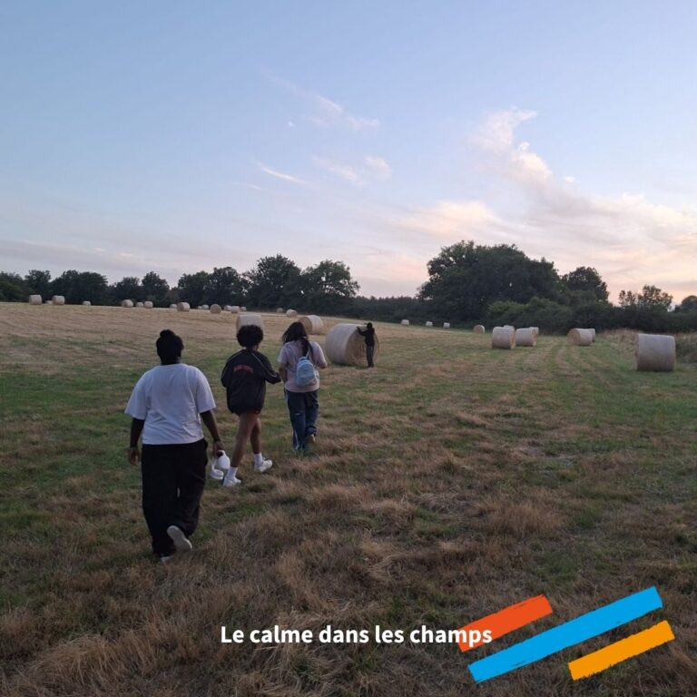 Description visuelle de l'image