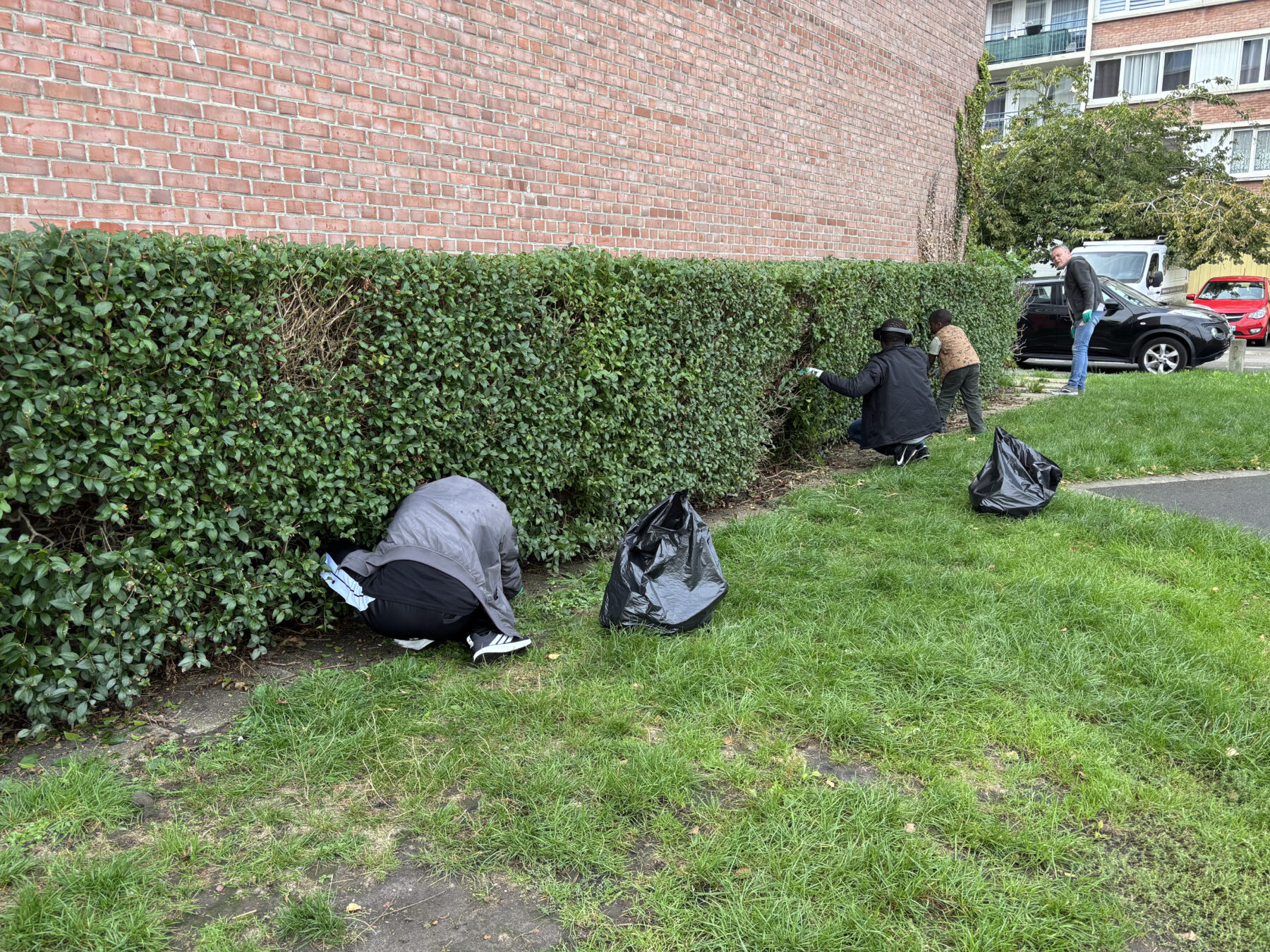 Description visuelle de l'image