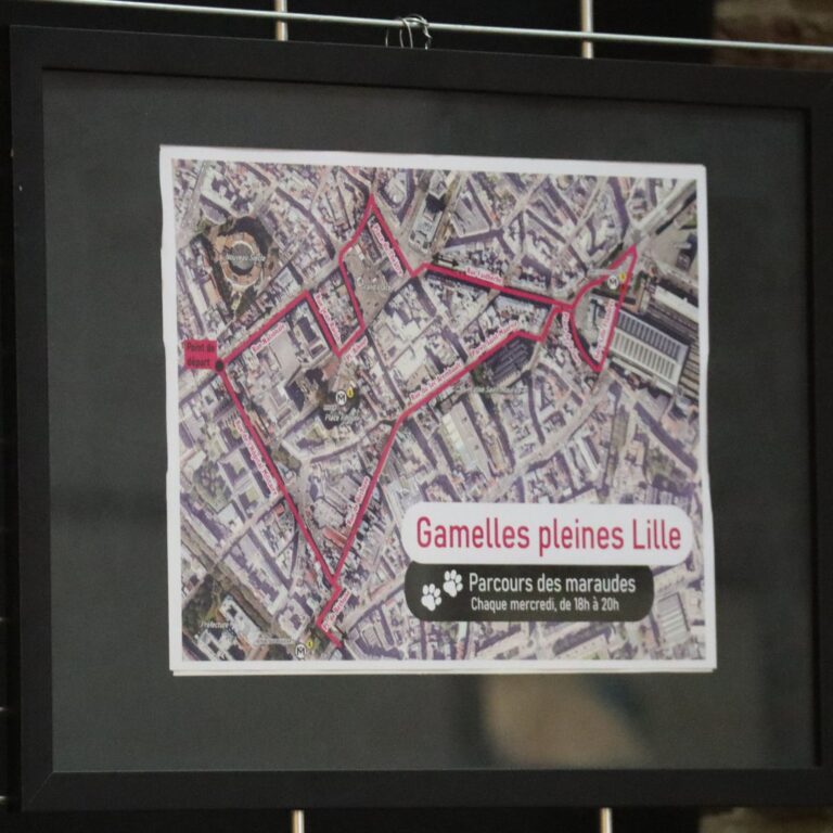 Description visuelle de l'image