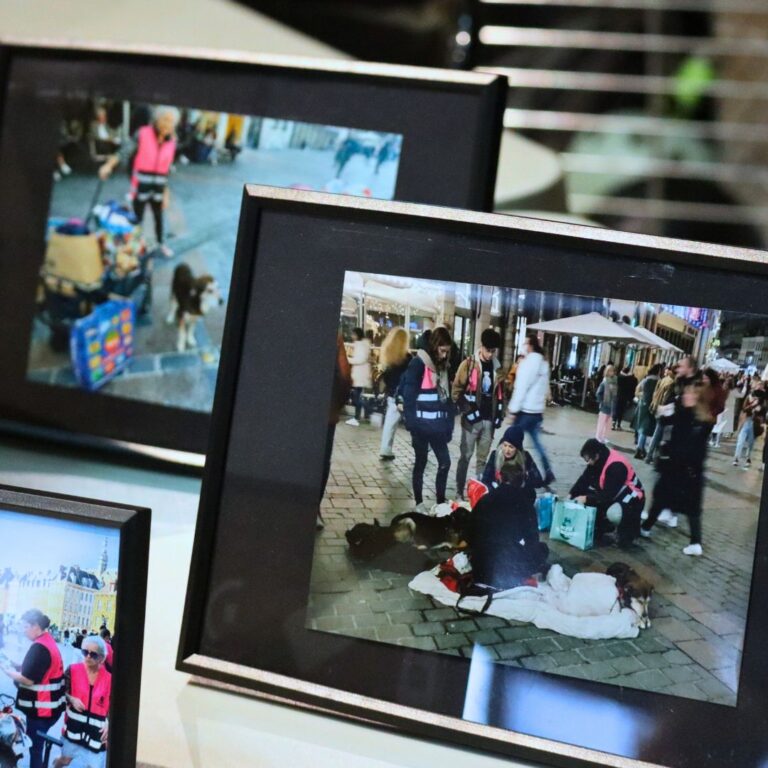 Description visuelle de l'image