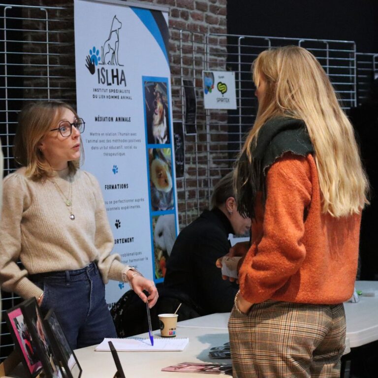 Description visuelle de l'image