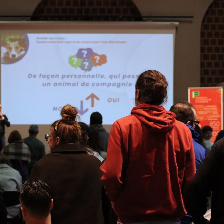 Description visuelle de l'image