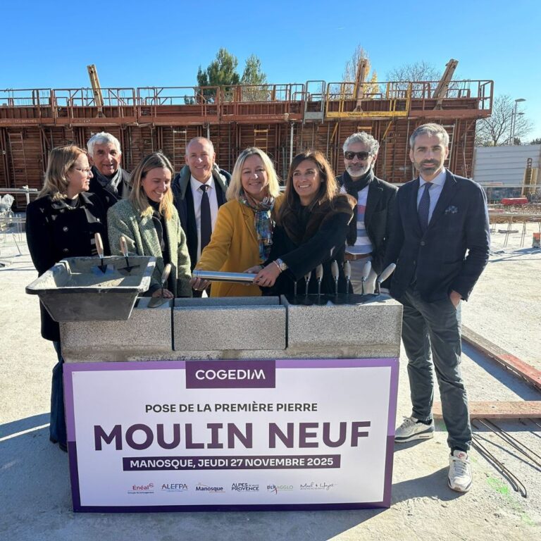 Description visuelle de l'image