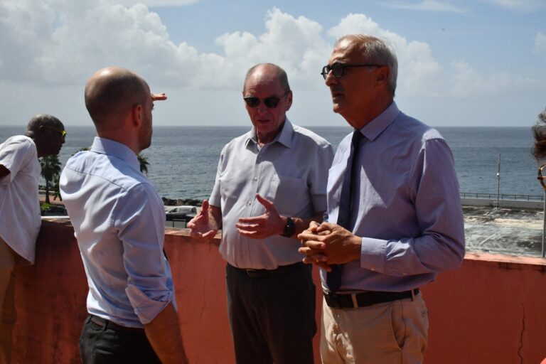 Description visuelle de l'image