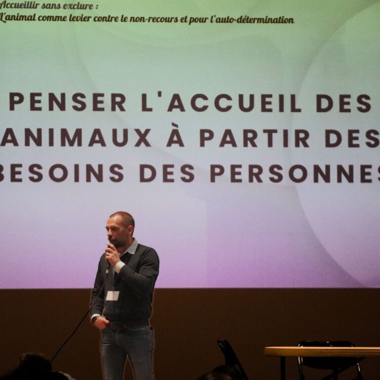 Description visuelle de l'image