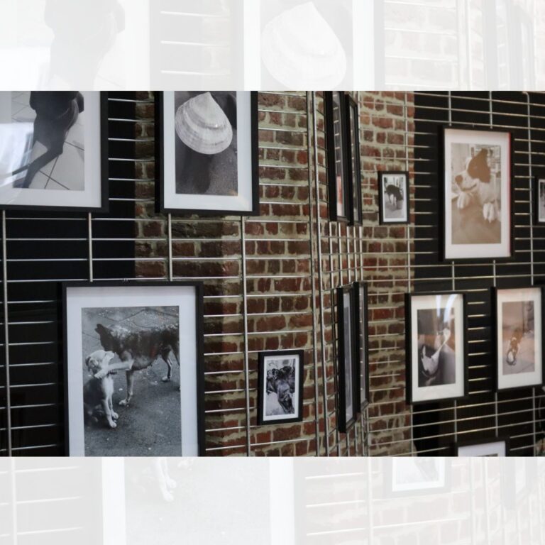 Description visuelle de l'image