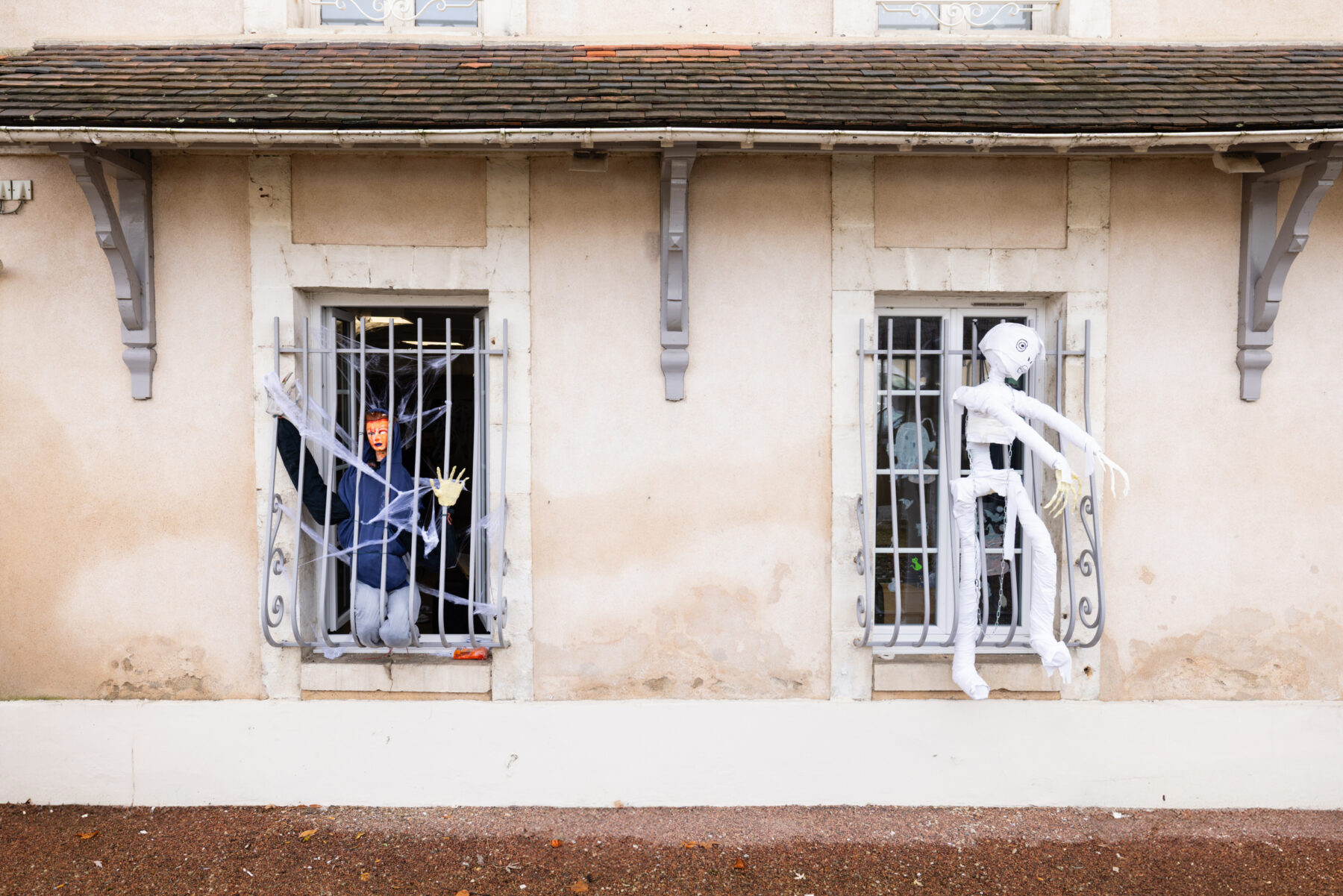 Description visuelle de l'image