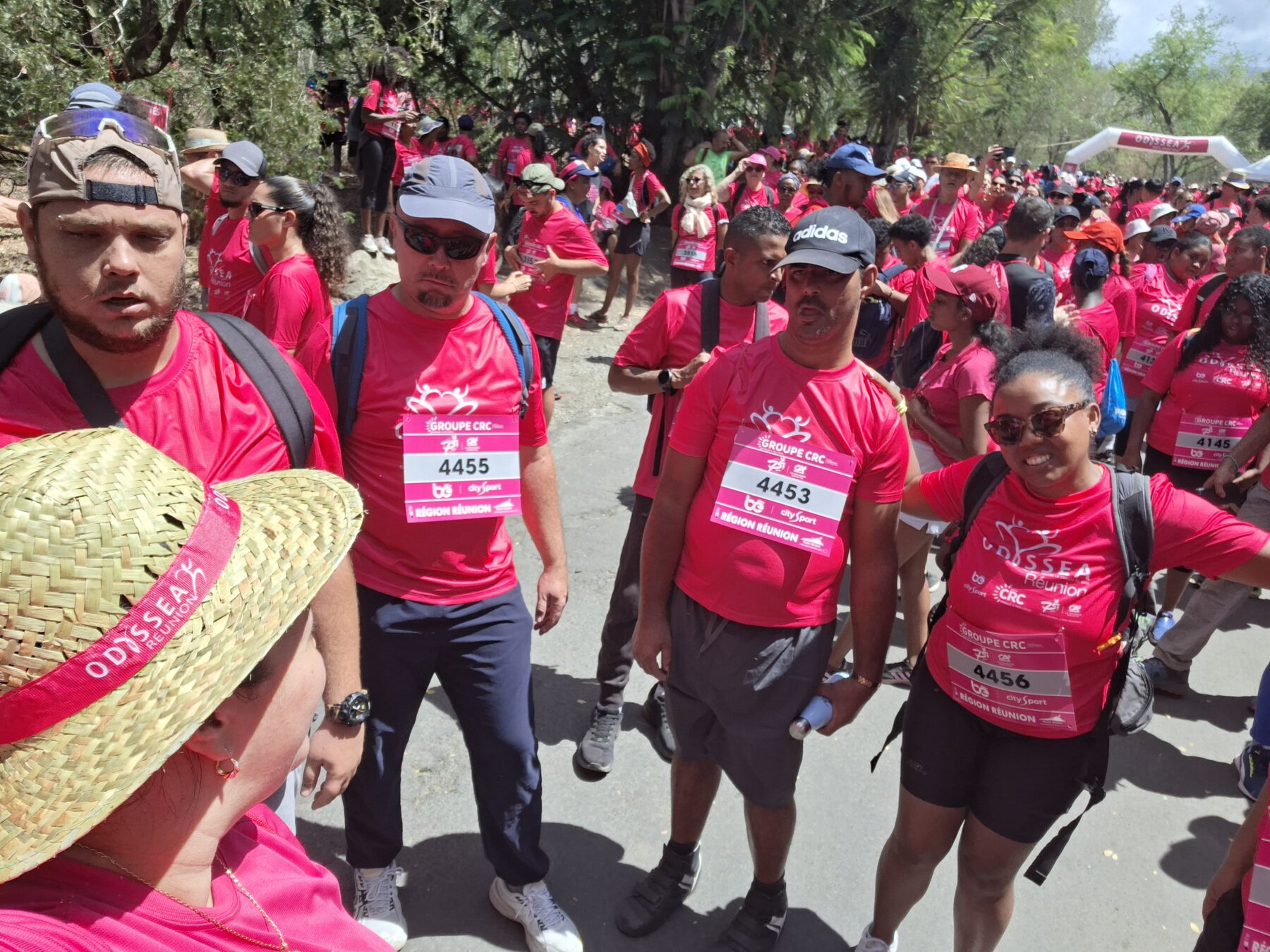 Description visuelle de l'image