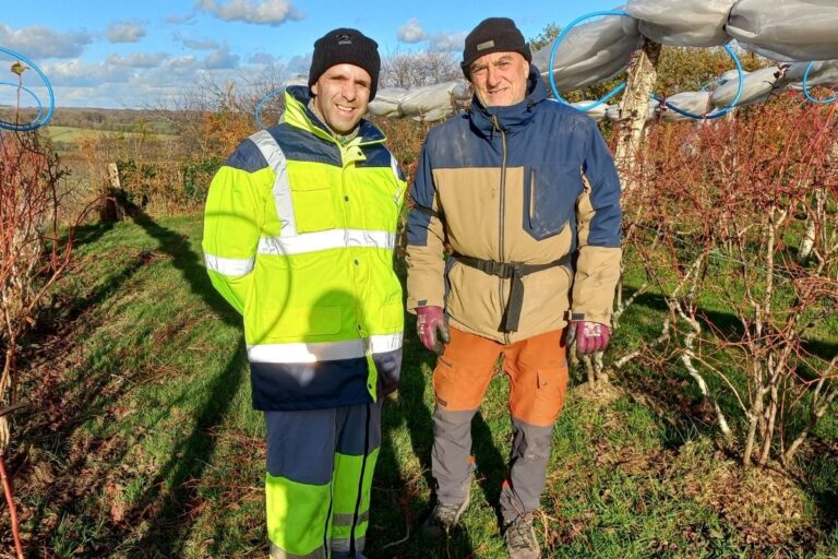 Description visuelle de l'image