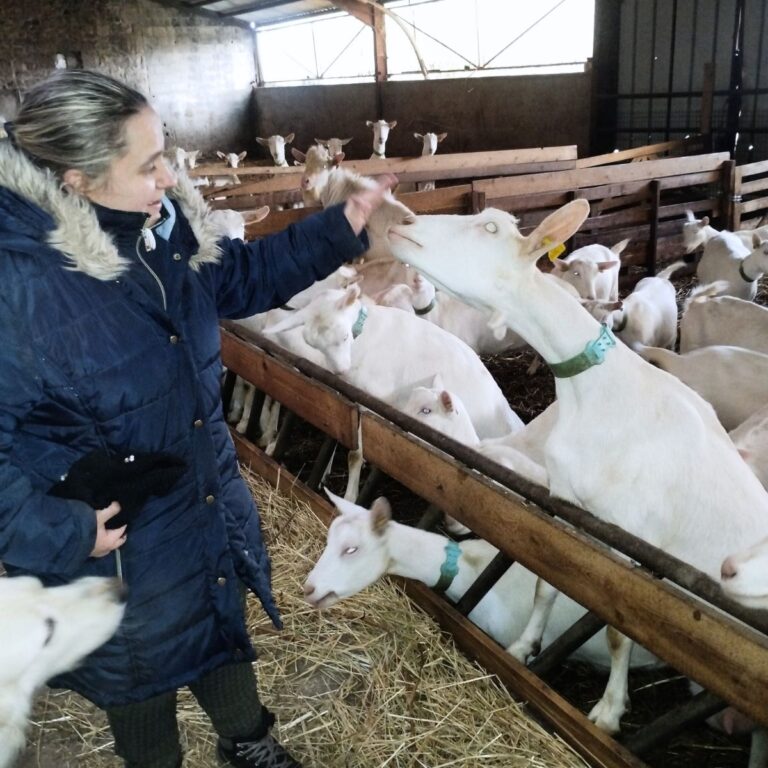 Description visuelle de l'image