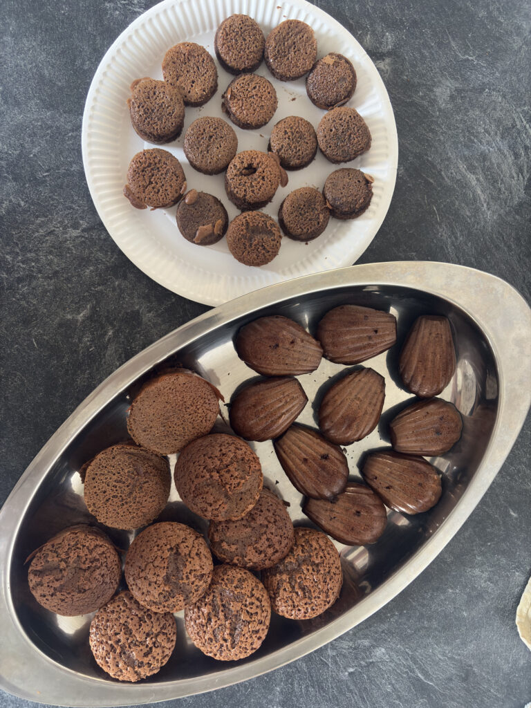 Description visuelle de l'image