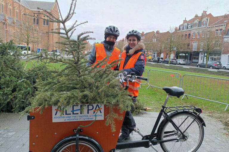 Description visuelle de l'image