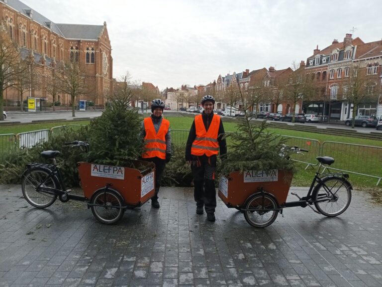 Description visuelle de l'image