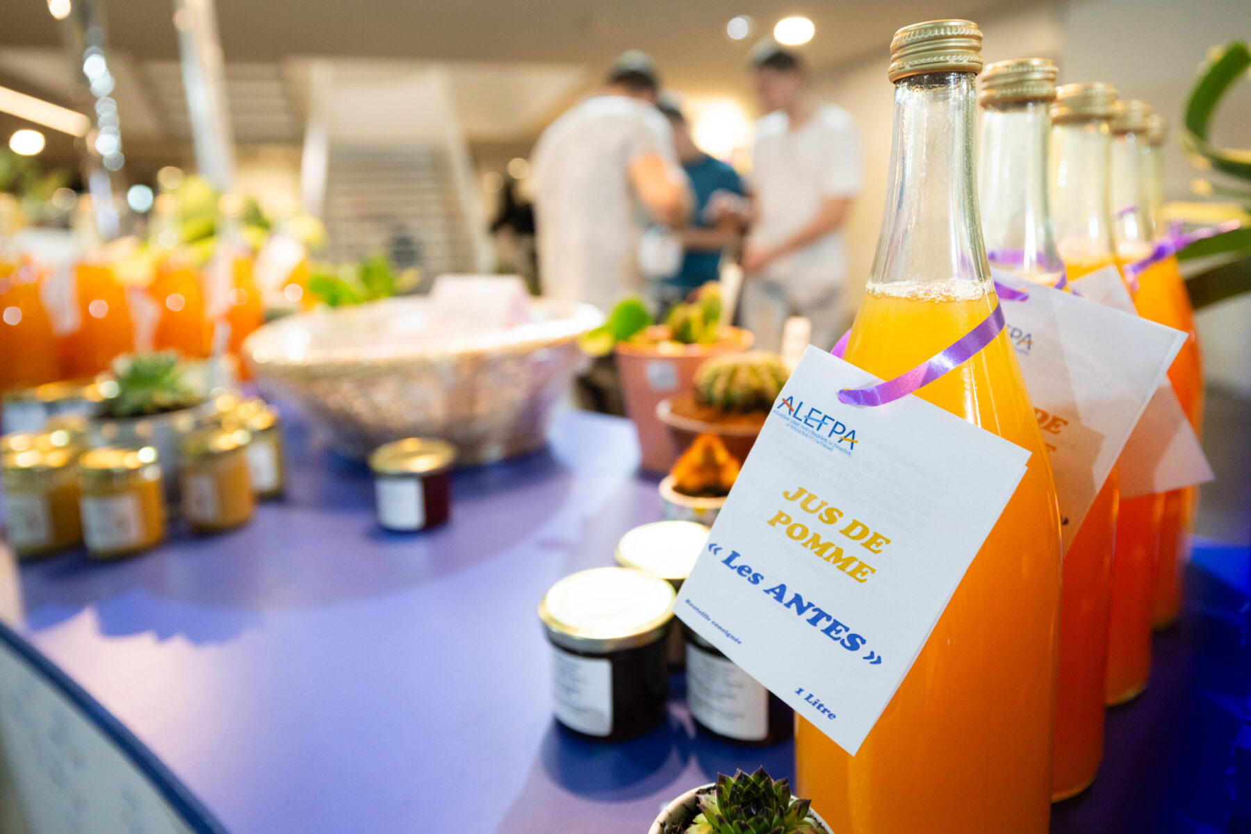 Description visuelle de l'image