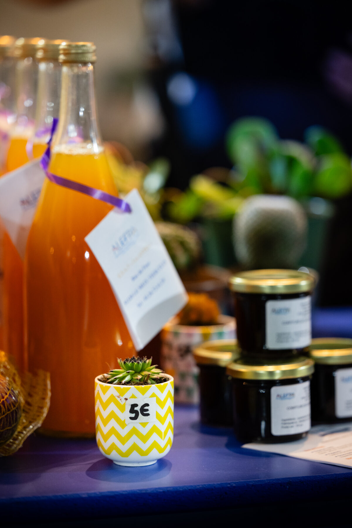 Description visuelle de l'image