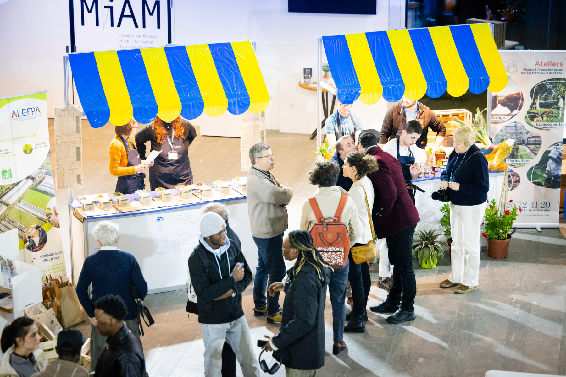 Description visuelle de l'image