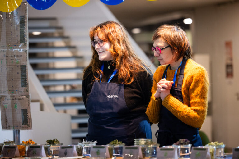 Description visuelle de l'image