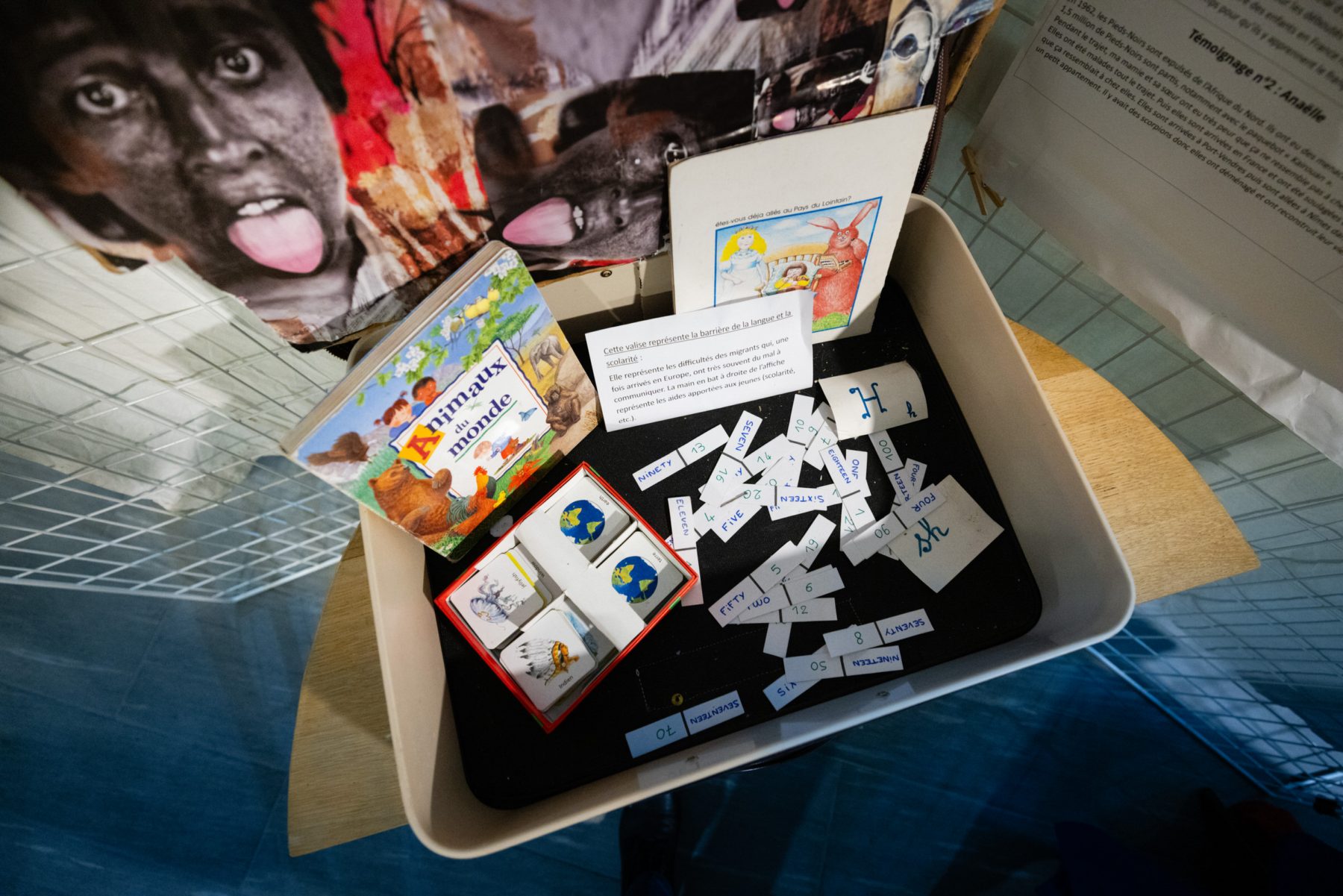 Description visuelle de l'image