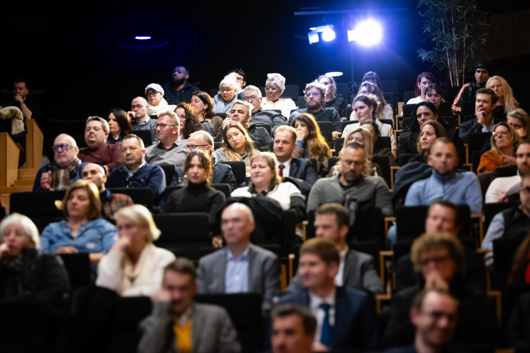 Description visuelle de l'image