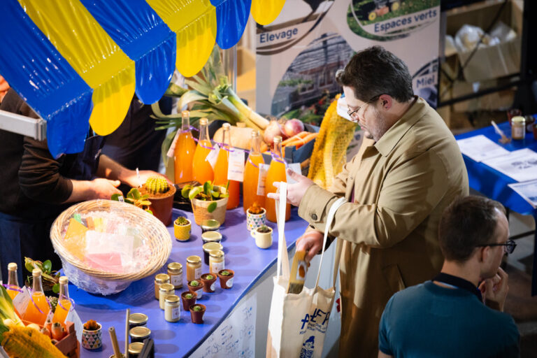 Description visuelle de l'image