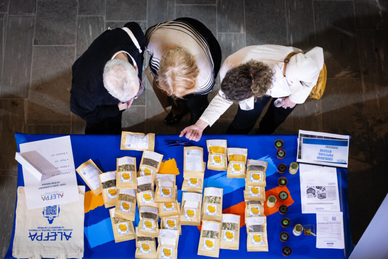 Description visuelle de l'image