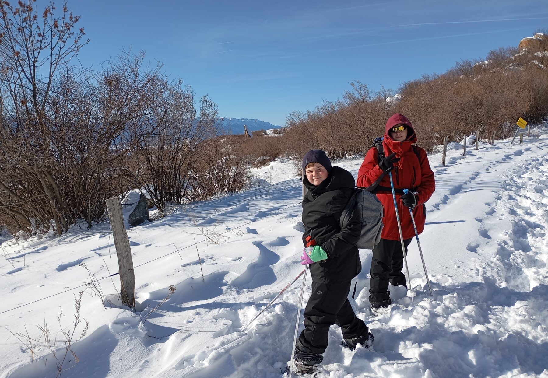 Description visuelle de l'image