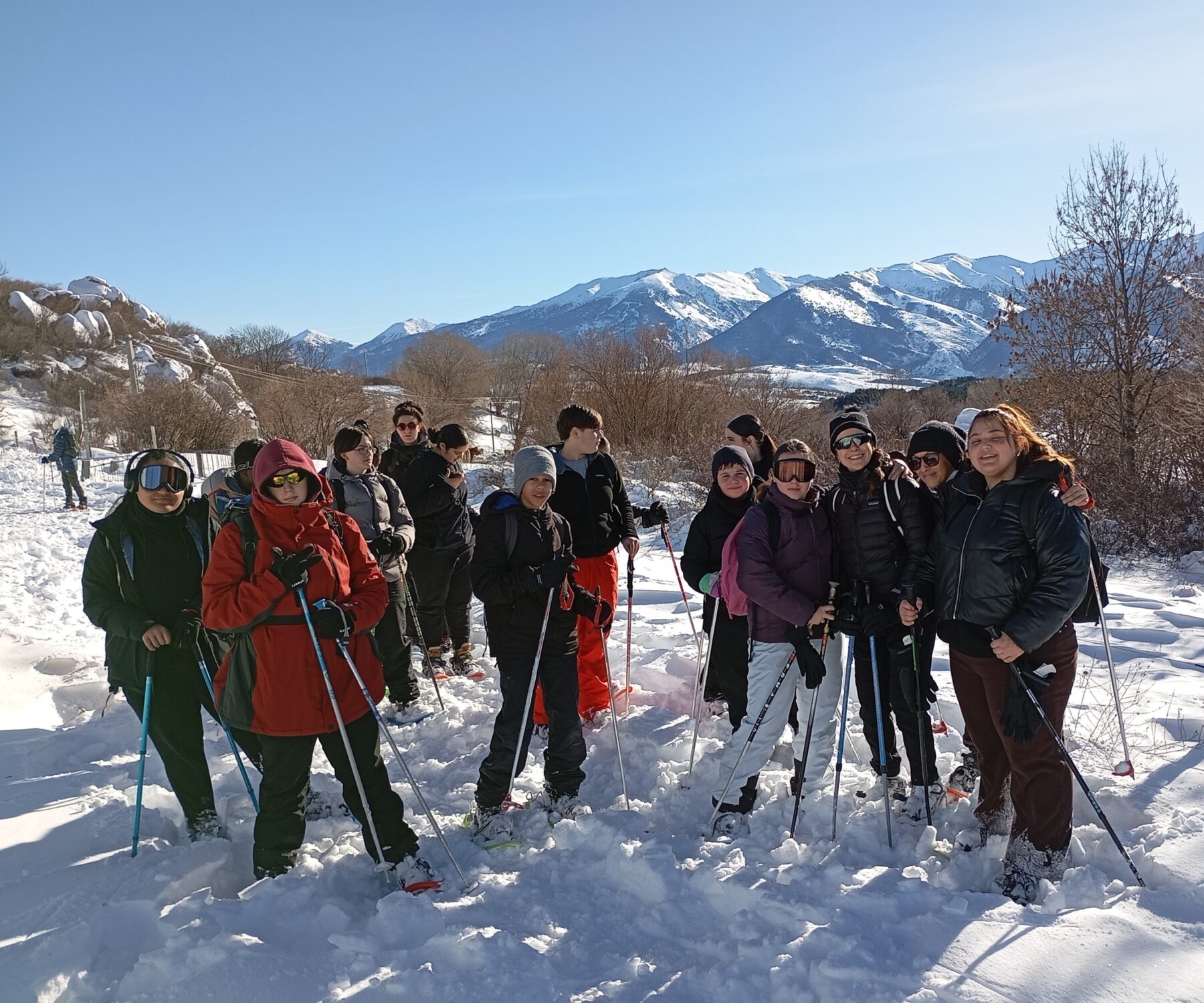 Description visuelle de l'image