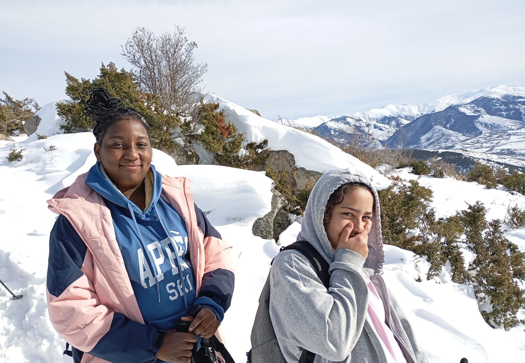 Description visuelle de l'image