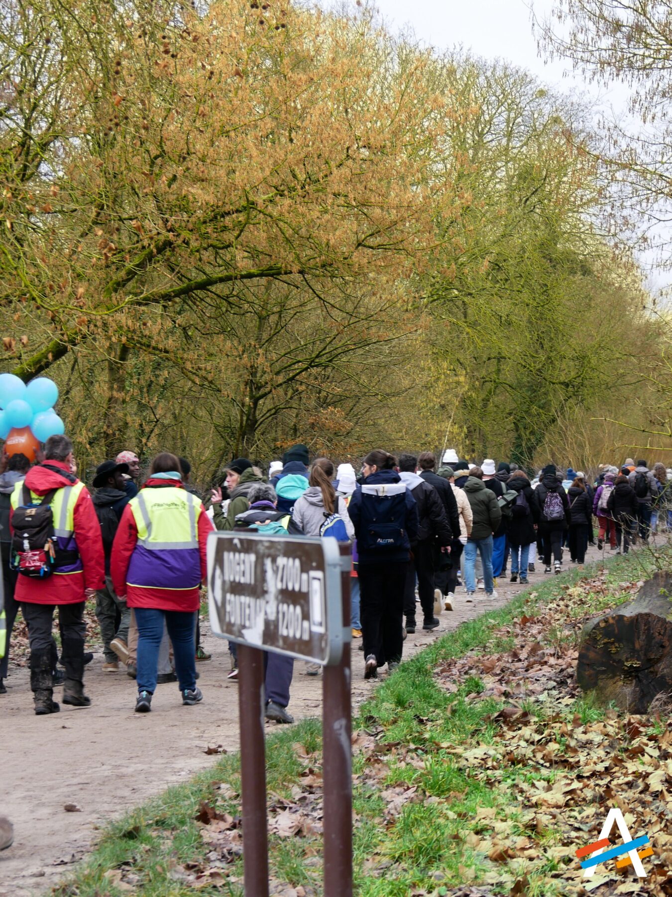 Description visuelle de l'image