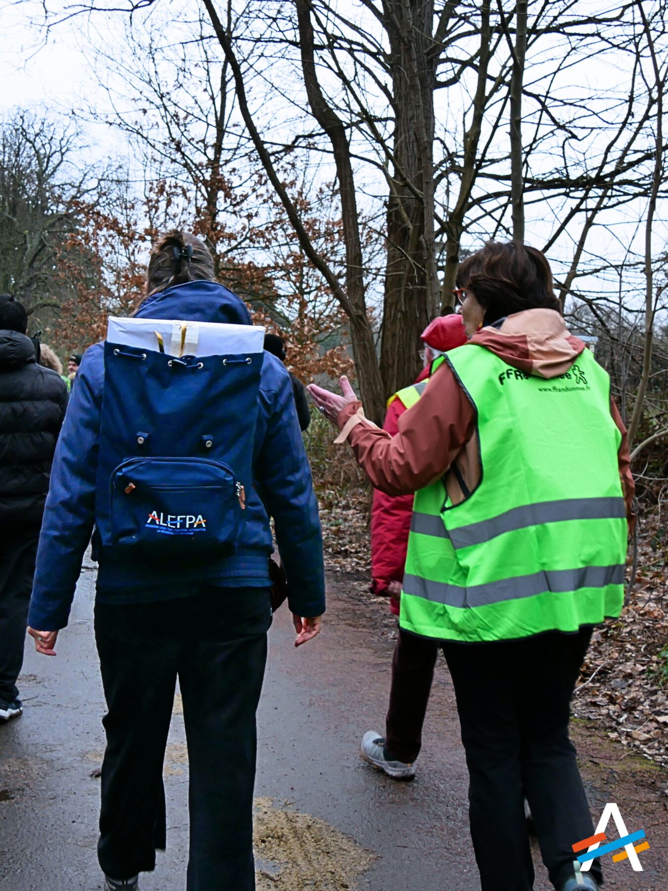 Description visuelle de l'image