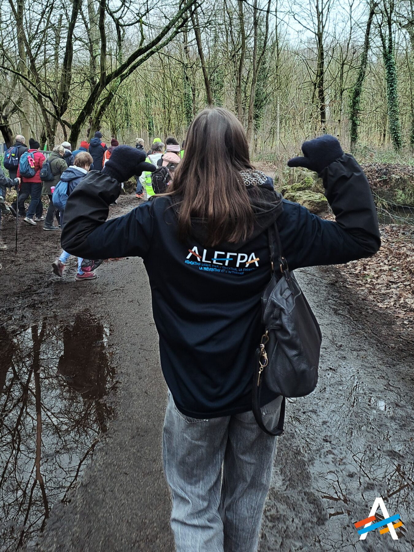 Description visuelle de l'image