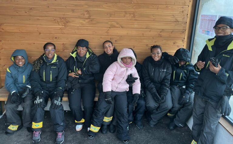 Description visuelle de l'image