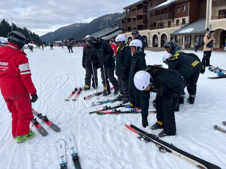 Description visuelle de l'image