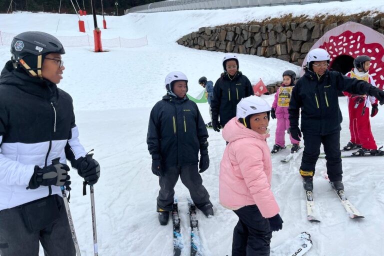 Description visuelle de l'image