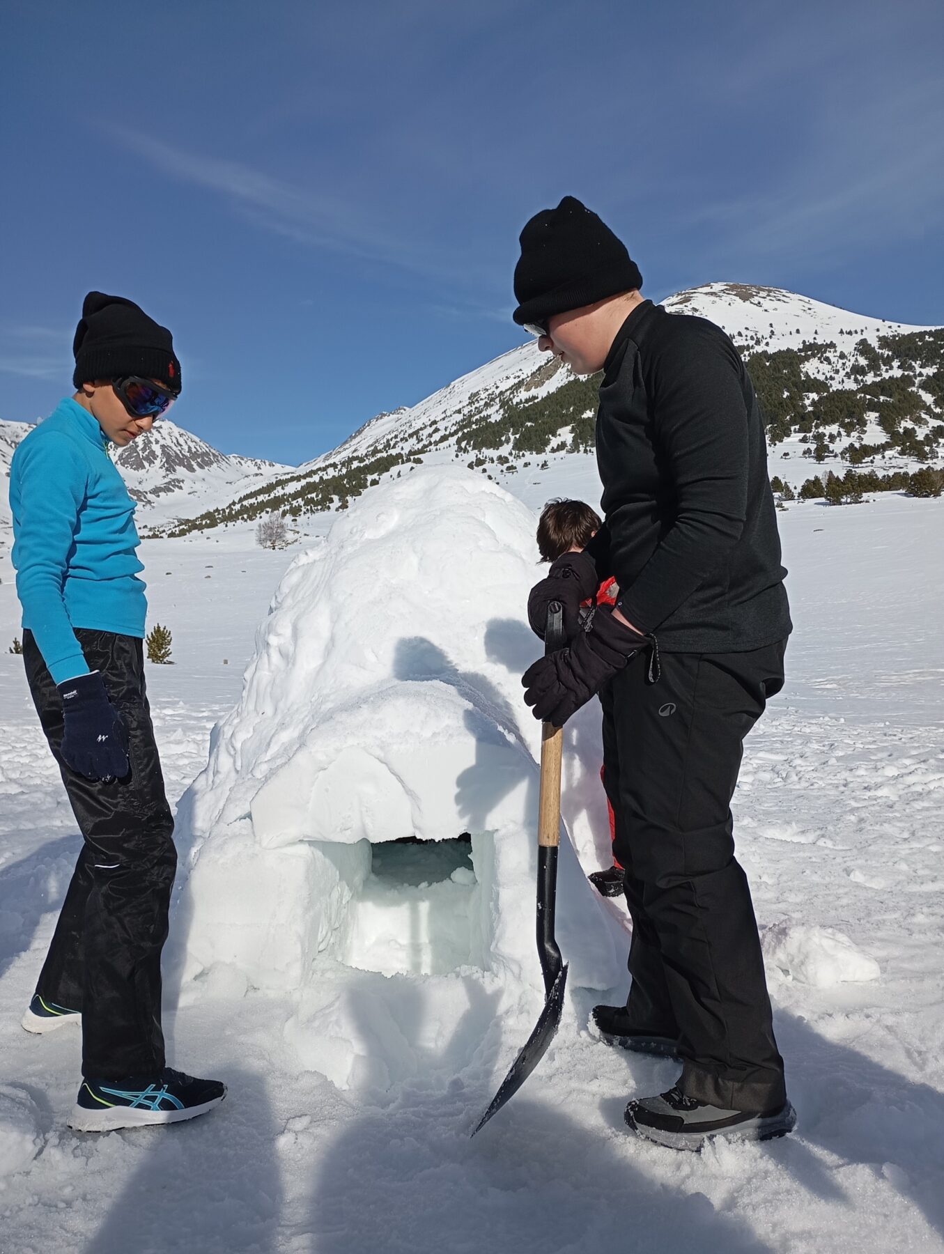 Description visuelle de l'image