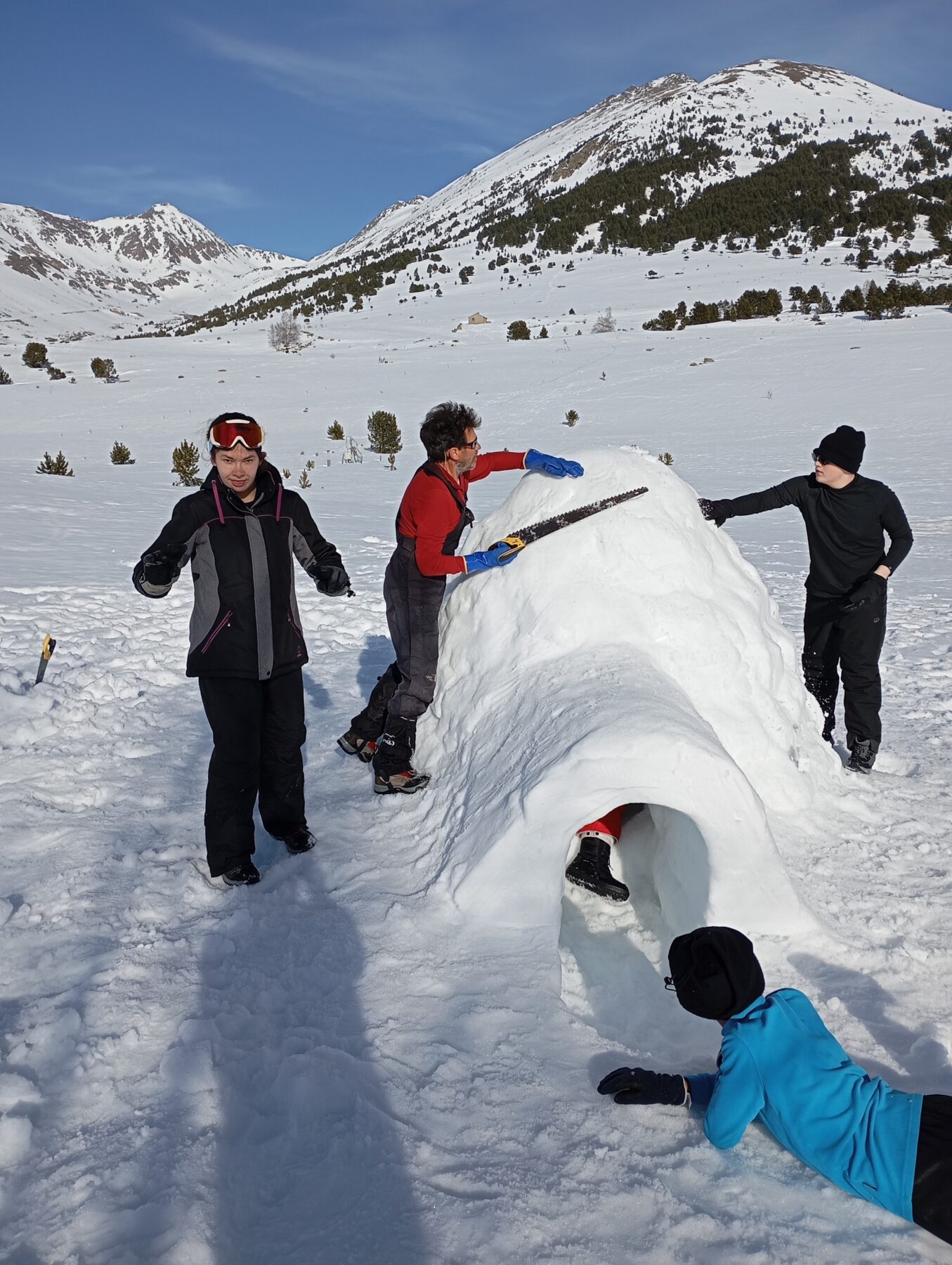 Description visuelle de l'image