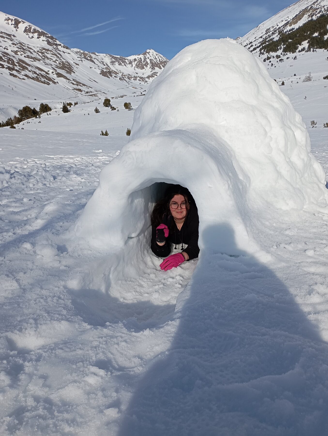 Description visuelle de l'image