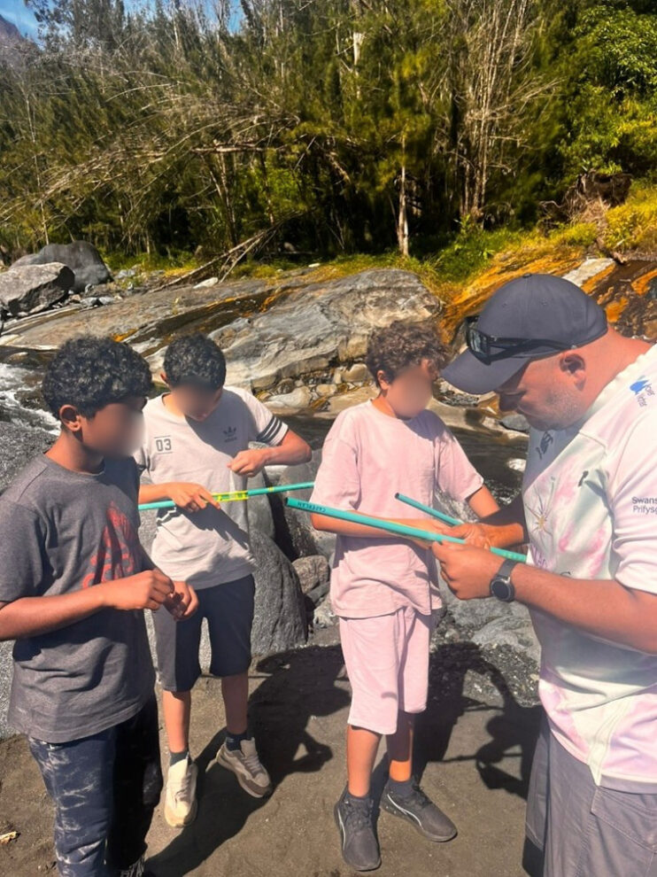 Description visuelle de l'image