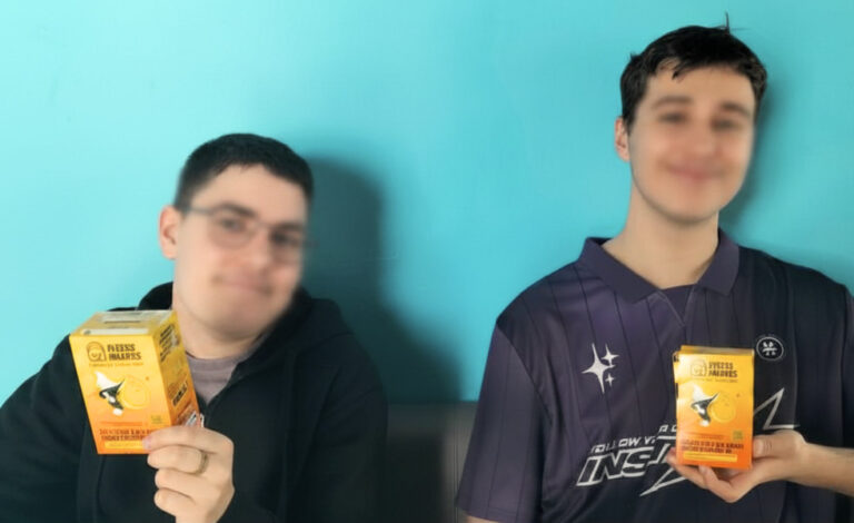 Description visuelle de l'image