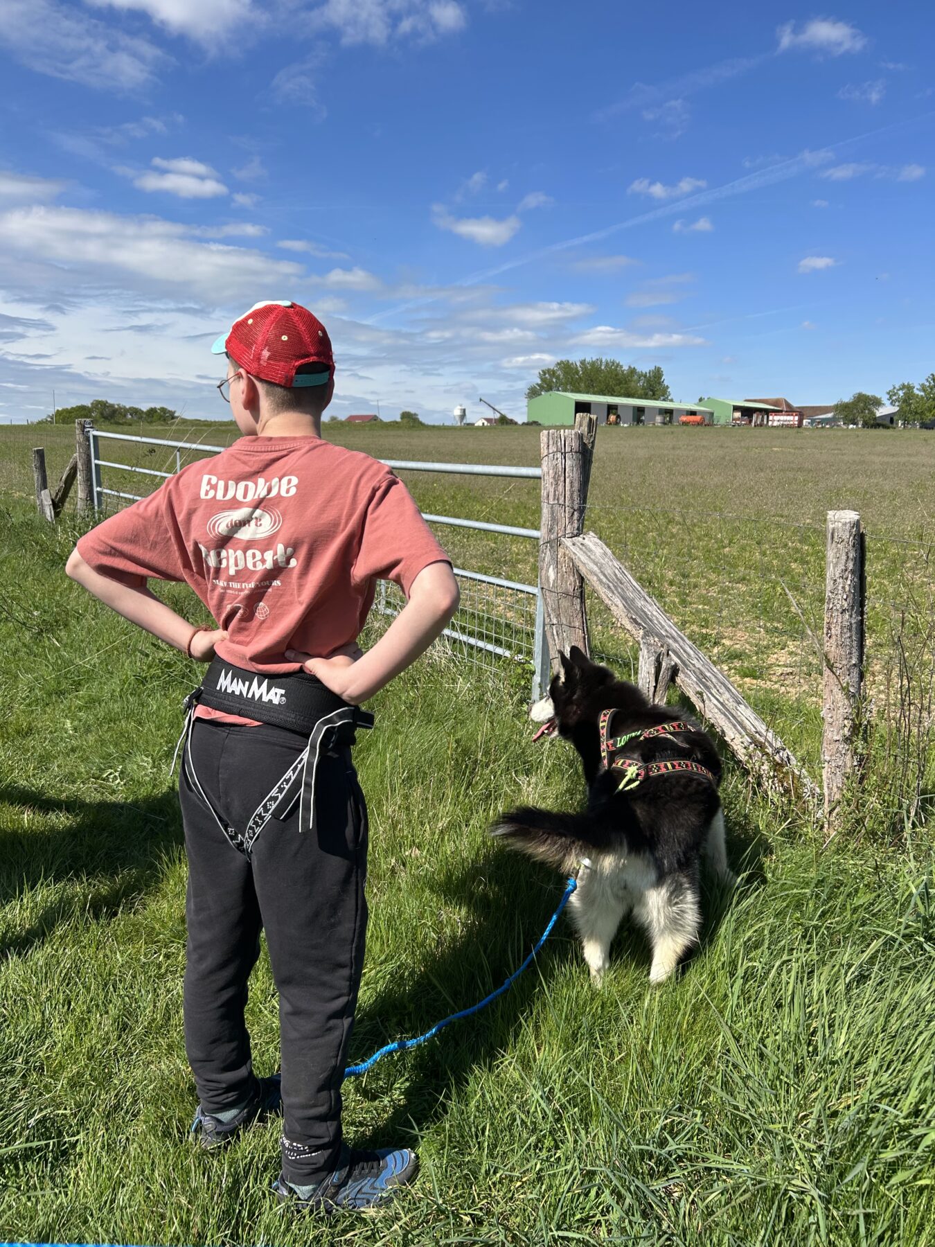 Description visuelle de l'image