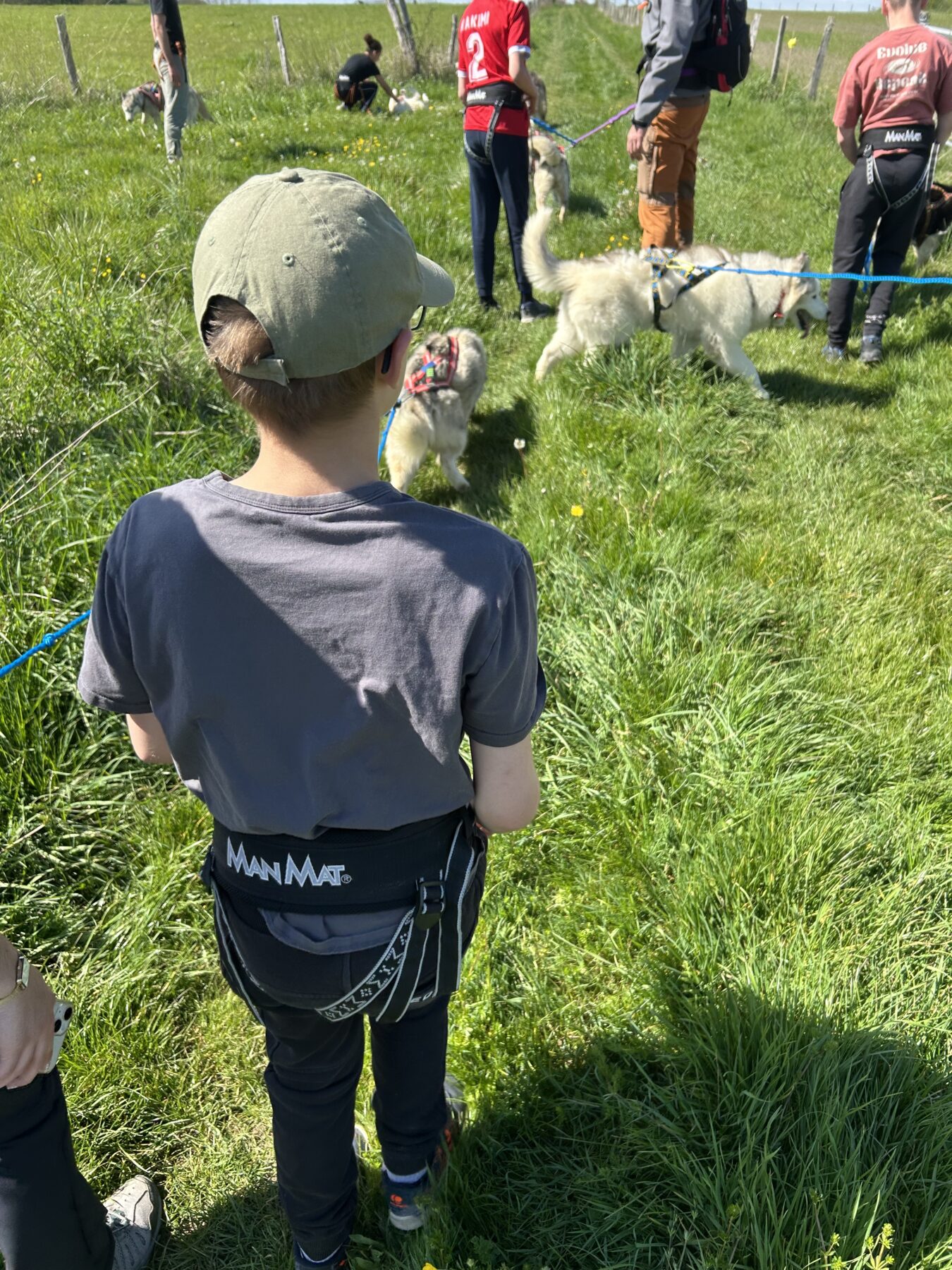 Description visuelle de l'image