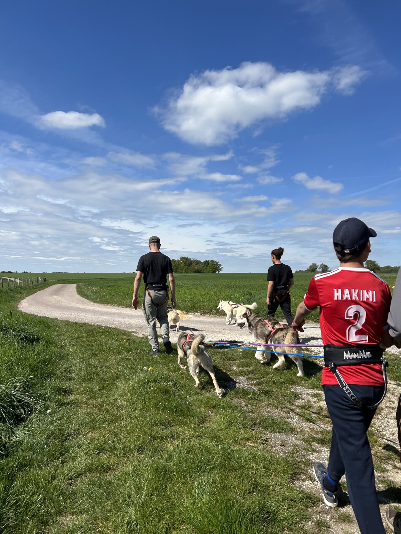 Description visuelle de l'image