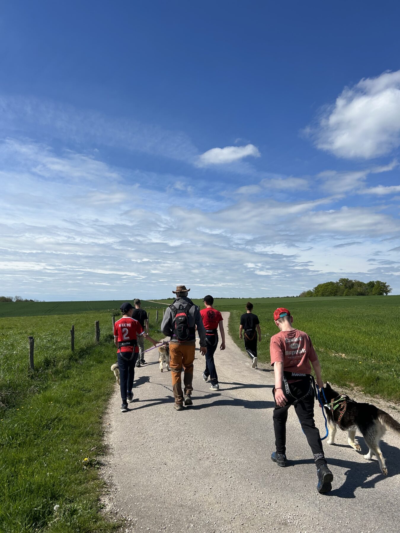 Description visuelle de l'image