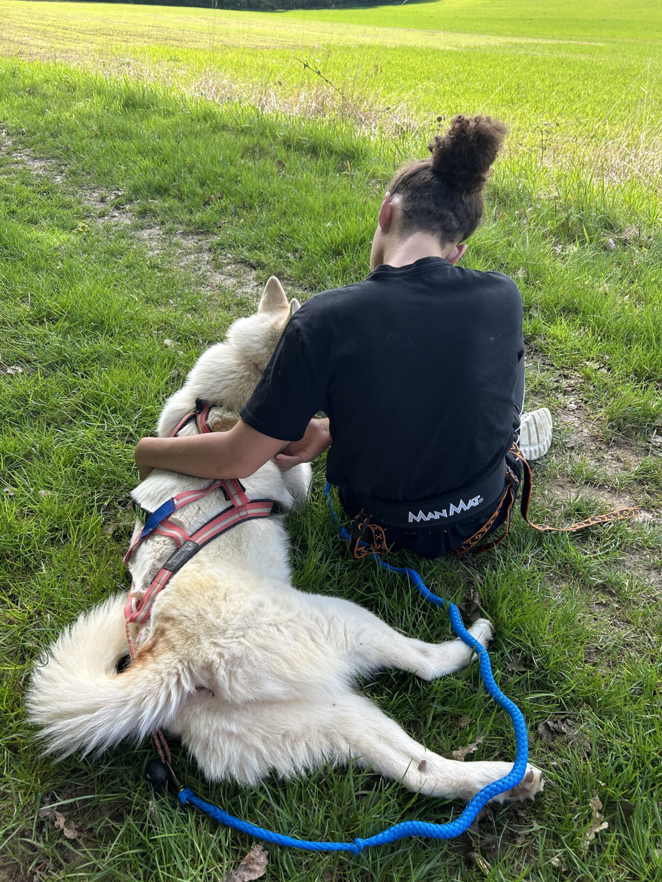 Description visuelle de l'image