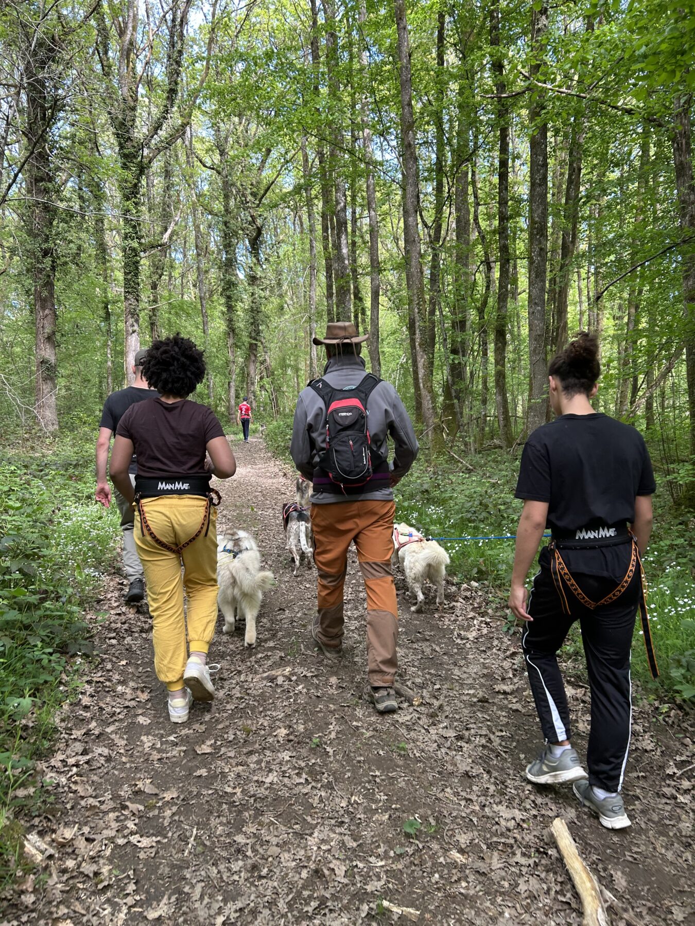 Description visuelle de l'image